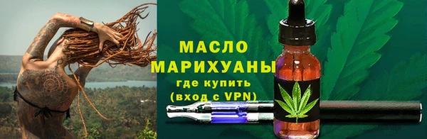 индика Горнозаводск