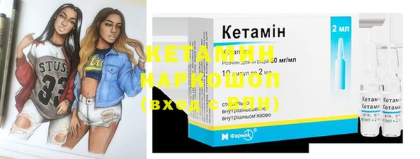 крисы Армянск