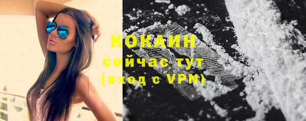 дживик Наволоки