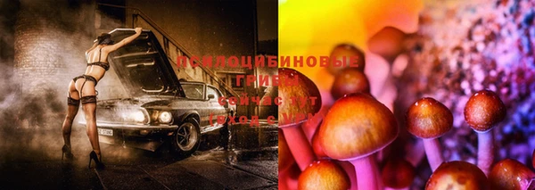 прущие крисы Арсеньев