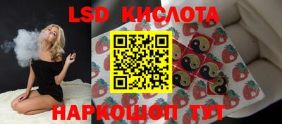 стафф Бийск