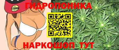 ГАЛЛЮЦИНОГЕННЫЕ ГРИБЫ Волгодонск