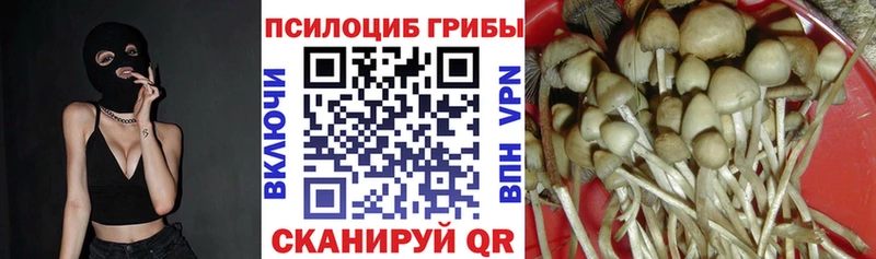 кракен маркетплейс  Гагарин  Галлюциногенные грибы Magic Shrooms 
