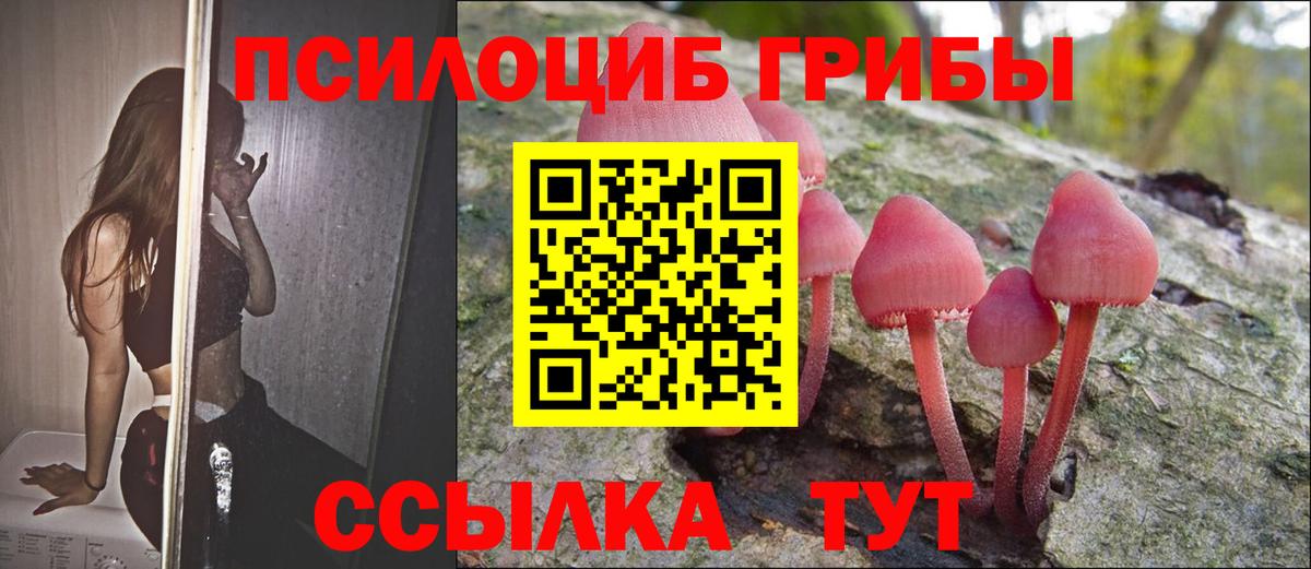 Гагарин  Галлюциногенные грибы прущие грибы  дарнет шоп  Псилоцибиновые грибы ЛСД  Вход с VPN 