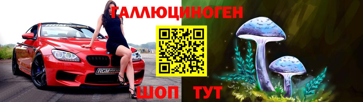 Псилоцибиновые грибы прущие грибы  Гагарин 